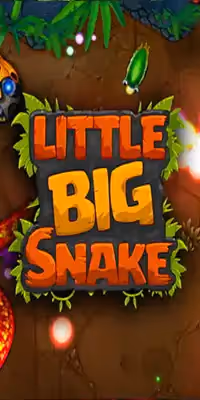  Little Big Snake unblocked